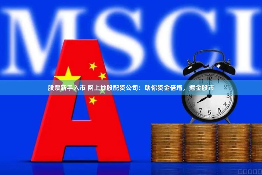 股票新手入市 网上炒股配资公司：助你资金倍增，掘金股市